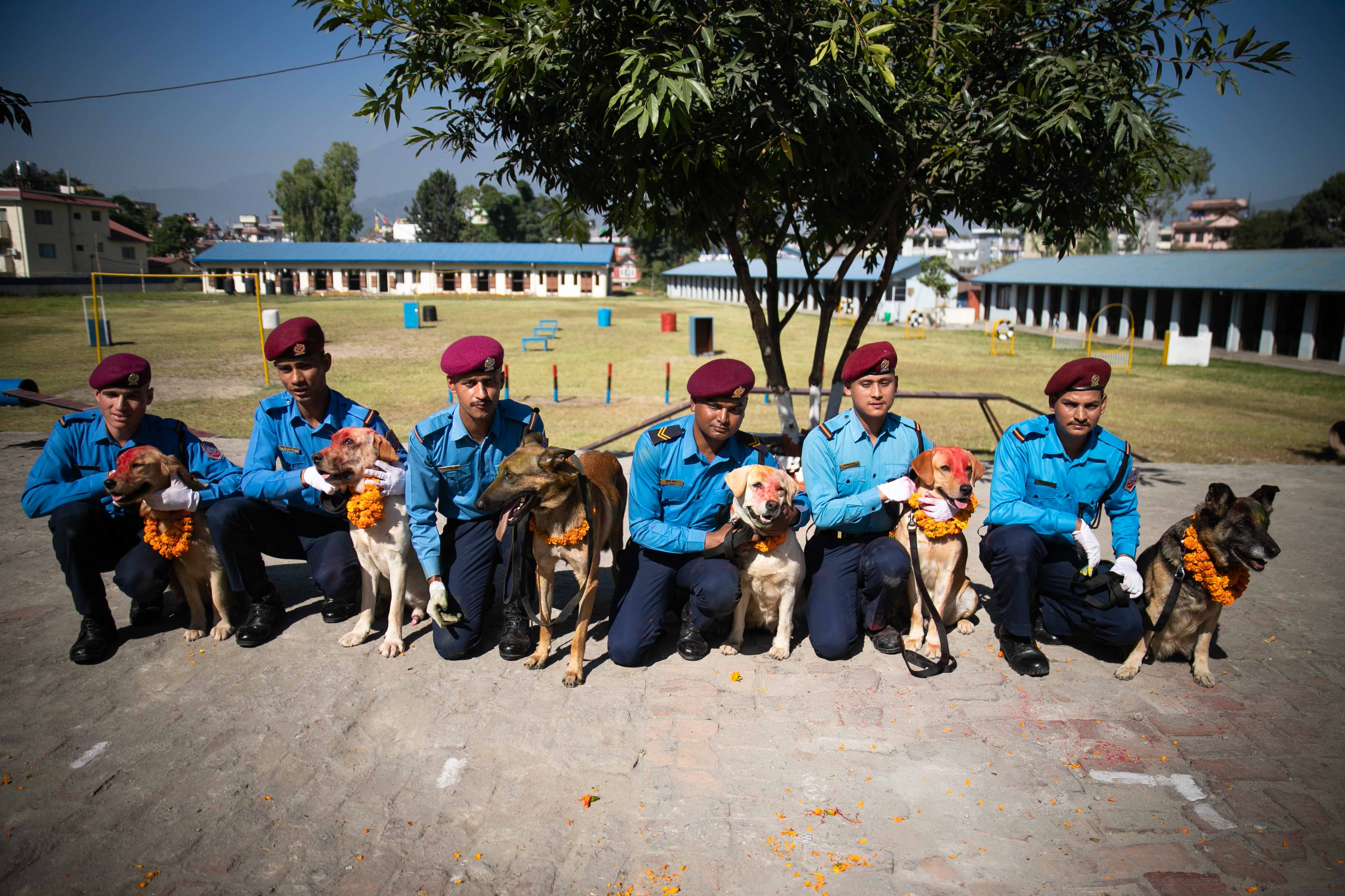 Nepal police dog festival-Nepal Photo Library  (6)1666603826.JPG